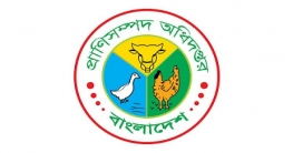 প্রাণিসম্পদসেবা সপ্তাহ শুরু হচ্ছে শনিবার