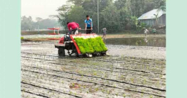 পীরগাছায় ‘সমলয় পদ্ধতিতে’ ধান চাষাবাদের কার্যক্রমের উদ্বোধন     